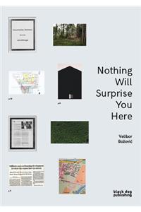 Nothing Will Surprise You Here