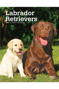 Labrador Retrievers 2021 Engagement