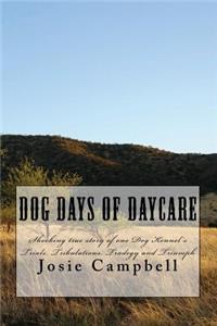 Dog days of Daycare