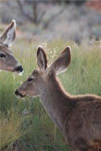 Deer Notebook