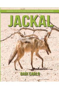 Jackal