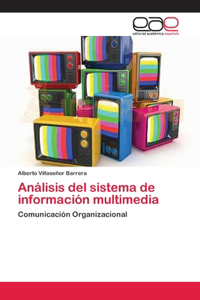 Análisis del sistema de información multimedia