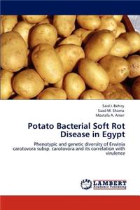 Potato Bacterial Soft Rot Disease in Egypt