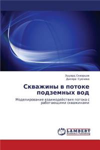 Skvazhiny v potoke podzemnykh vod