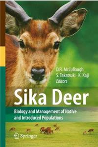 Sika Deer