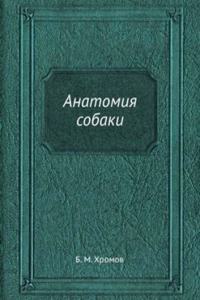 Anatomiya sobaki