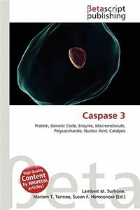Caspase 3
