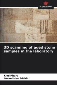 3D scanning of aged stone samples in the laboratory