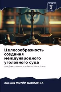 Целесообразность создания международно&#