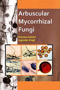 ARBUSCULAR MYCORRHIZAL FUNGI