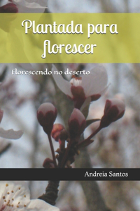 Plantada para florescer