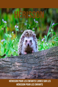 Hérisson