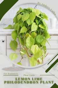 Lemon Lime Philodendron Plant