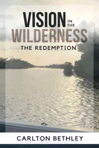 Vision In The Wilderness