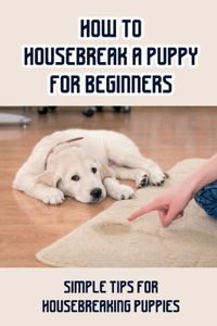 How To Housebreak A Puppy For Beginners