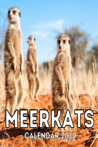 Meerkats Calendar 2021