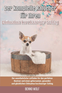 Der komplette Ratgeber für Ihren Chihuahua kurzhaariger Schlag