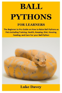 Ball Pythons for Learners