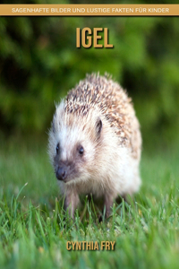 Igel