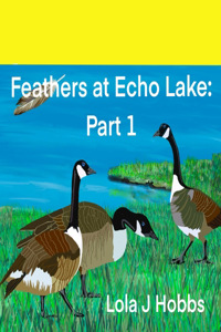 Feathers at Echo Lake Part 1