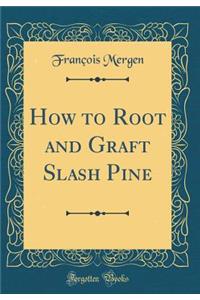 How to Root and Graft Slash Pine (Classic Reprint)