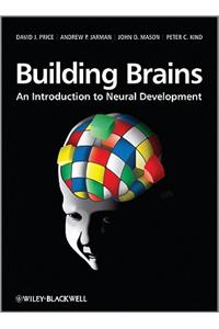 Building Brains