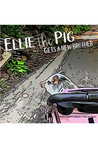 Ellie the Pig gets a new brother