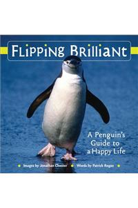 Flipping Brilliant