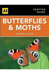 Butterflies and Moths