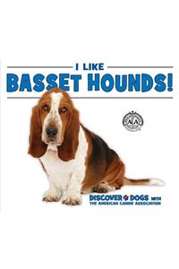 I Like Basset Hounds!