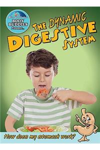 Dynamic Digestive System: How Does My Stomach Work?