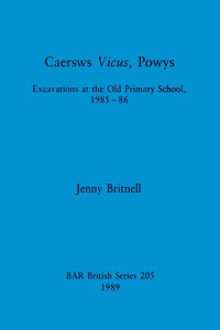 Caersws Vicus, Powys