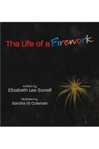 Life of a Firework
