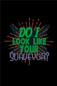 Do I look like your surveyor?