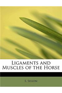 Ligaments and Muscles of the Horse