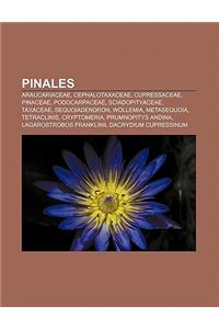 Pinales