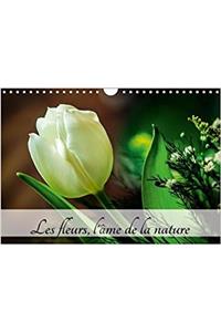 Fleurs, L'ame De La Nature 2018