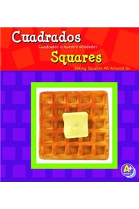 Cuadrados/Squares: Cuadrados a Nuestro Alrededor/Seeing Squares All Around Us