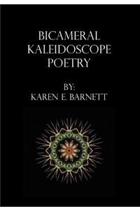 Bicameral Kaleidoscope Poetry