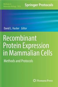 Recombinant Protein Expression in Mammalian Cells