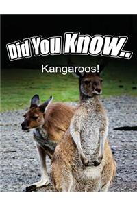 Kangaroo