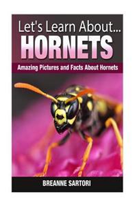 Hornets