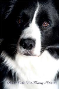 Border Collie Port February Notebook Border Collie Port Record, Log, Diary, Special Memories, To Do List, Academic Notepad, Scrapbook & More
