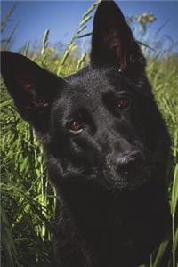 German Shepherd Thinks You're Crazy Journal