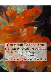 Goldfish Breeds and other Aquarium Fishes