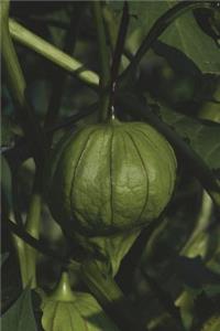 The Tomatillo Journal: 150 Page Lined Notebook/Diary