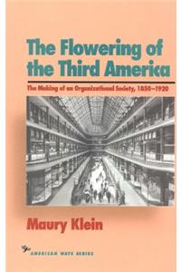 The Flowering of the Third America: The Making of an Organizational Society, 1850-1920