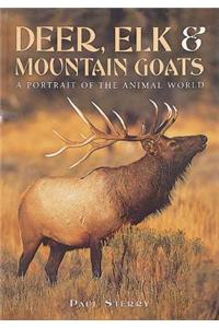 Deer, Elk & Mountain Goats: A Portrait of the Animal World