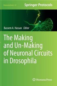 Making and Un-Making of Neuronal Circuits in Drosophila