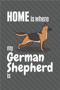 Home is where my German Shepherd is